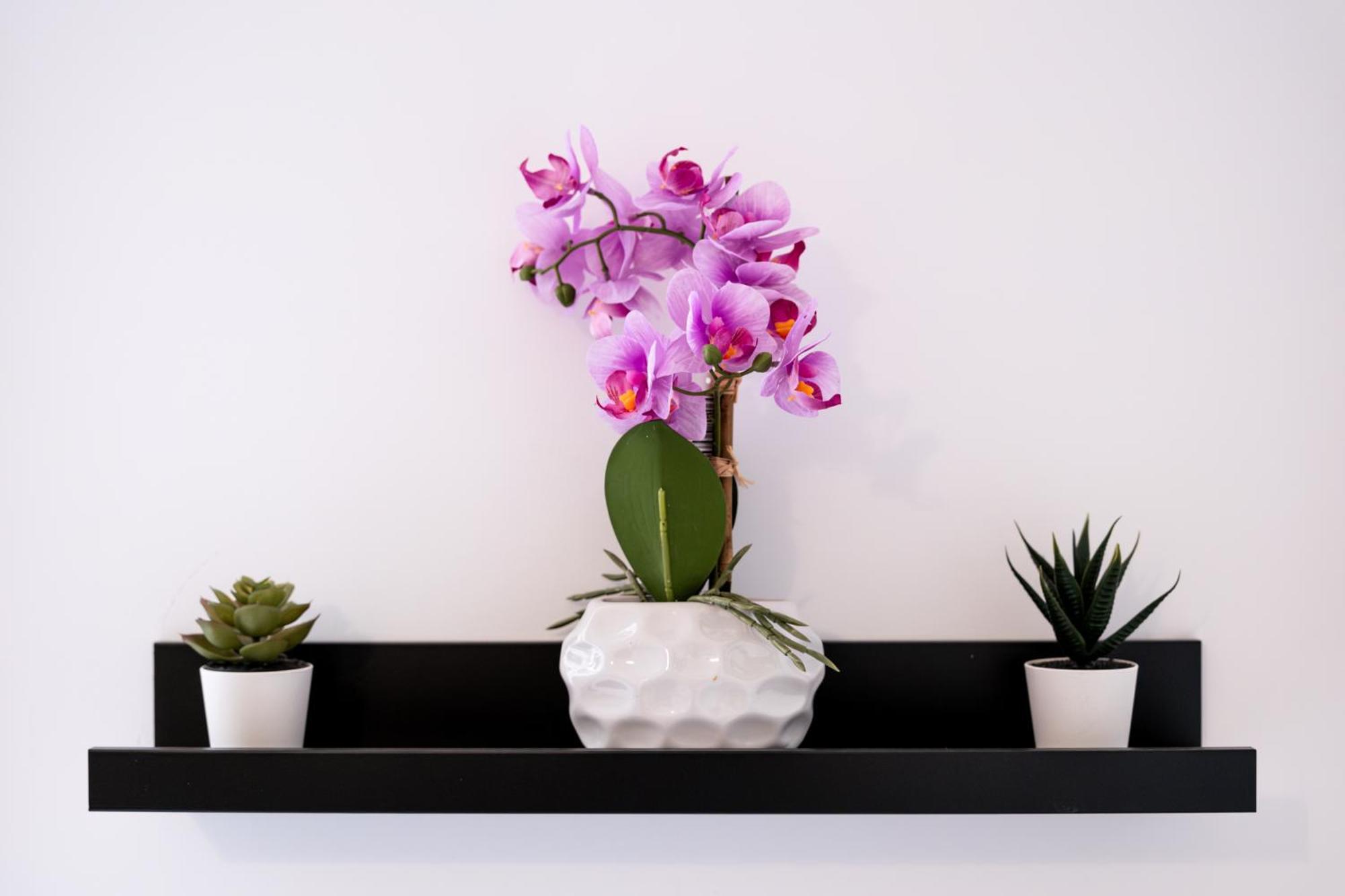 Soho Downtown Apartment Budapest Ngoại thất bức ảnh